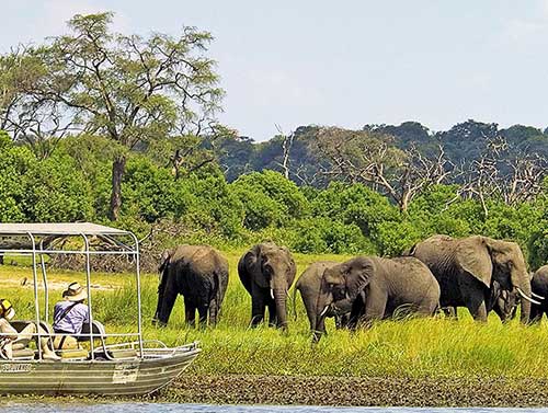 Chobe Day Trip from Victoria Falls