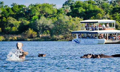 zambezi queen river cruise