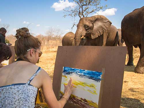 Elephant Art Safari