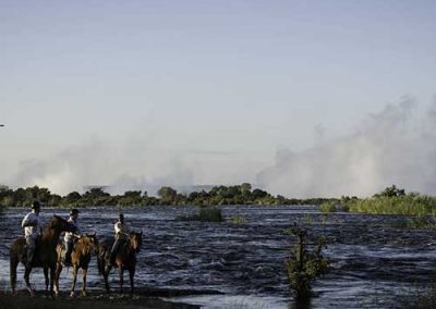 zambia-horses-river