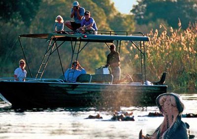 Zambezi River Safari