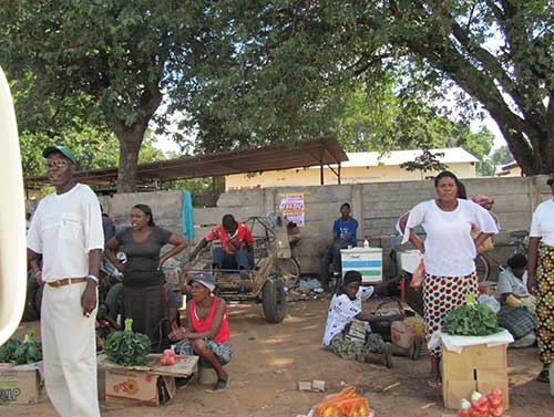 Visit local Markets in Chinotimba