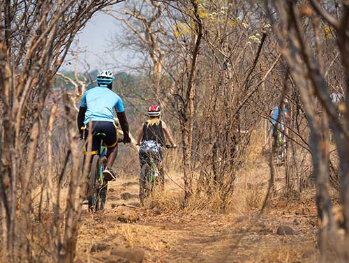Cycling in Victoria Falls with Wild Horizons
