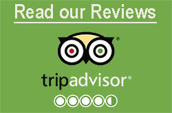 Review Us or Read our Trip Advisor Reviews