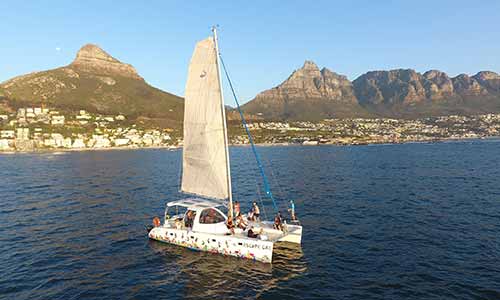 Waterfront Adventures in Cape Town