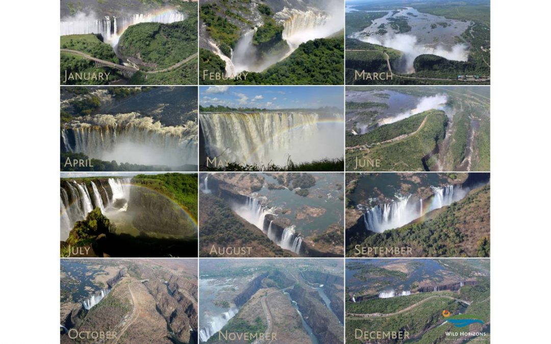 View of Victoria Falls throughout the year.