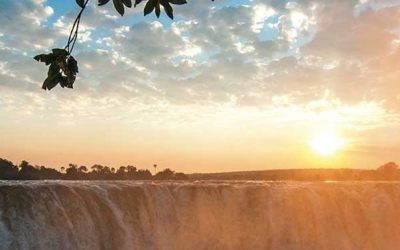 The Ultimate Guide For Your Safari in Victoria Falls